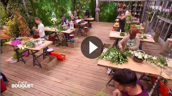 The battle of the florists TF1
