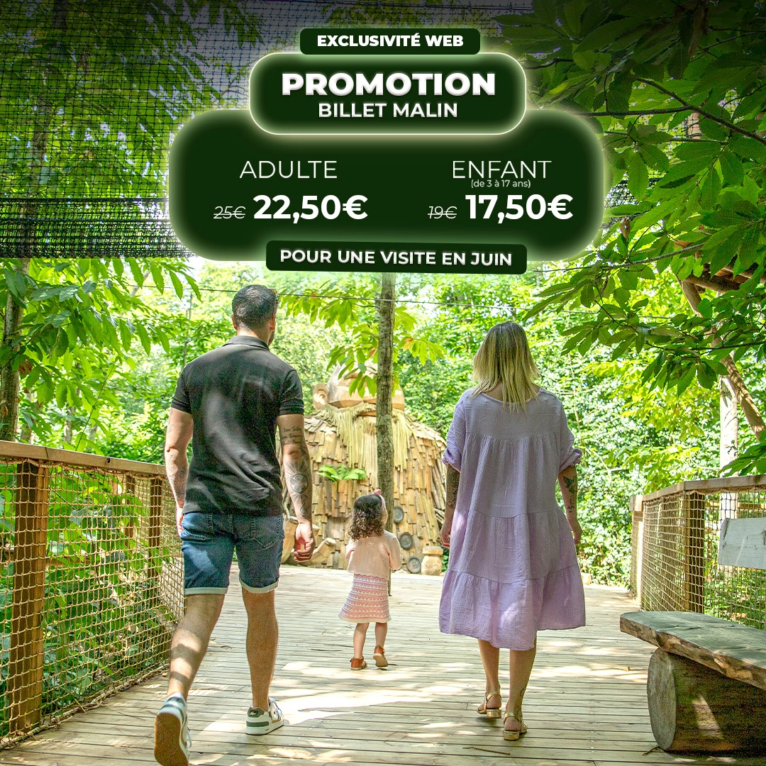 https://billetterie-terrabotanica.tickeasy.com/fr-FR/produits-filtre?famille=2503852457130400569